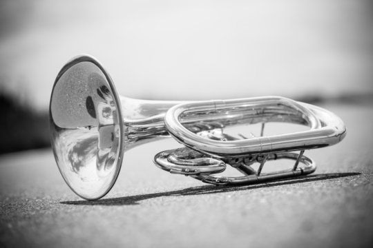 Portrait of a silver baritone