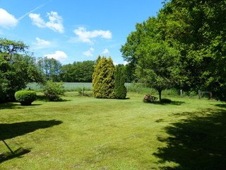 Großzügiger grüner Garten auf dem Lande mit blauem Himmel bei Sonnenschein zwischen...
