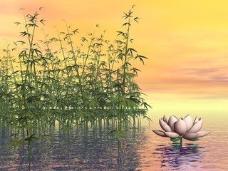 Obrazy na Szkle  Zen natura - renderowanie 3D