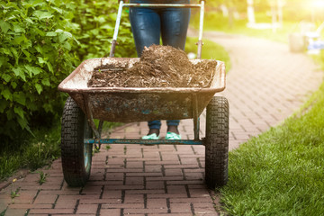 photo of garden wheelbarrow with earth at sunny day