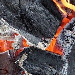 Burning Coals close-up