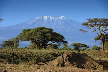 Papier Peint photo Kilimandjaro Snow on top of Mount Kilimanjaro in Amboseli