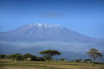 Snow on top of Mount Kilimanjaro in Amboseli