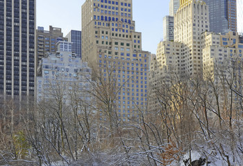 Urban Scene - Central Park with Manhattan Skyline,