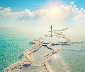 Naklejka premium Silhouette of woman walking on Dead Sea shore towards the sun