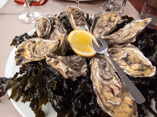 Oysters served in a restaurant