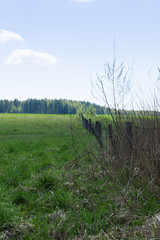 Obraz premium landscape with sky