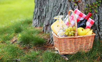 Picnic basket with food near a tree