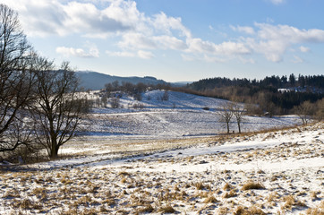 Winter view
