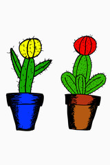 hand draw sketch of cactus