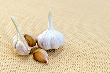 Garlic on a sacking