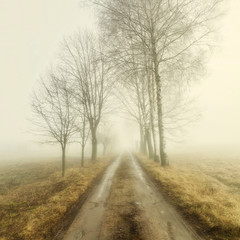 Fototapeta na wymiar The road to the fog