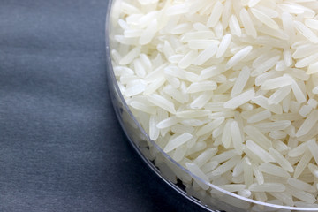 rice grain in petrie experimental of macro.