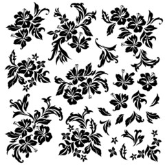 ハイビスカスのイラスト