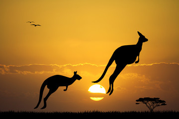 Obraz na płótnie Canvas kangaroos at sunset