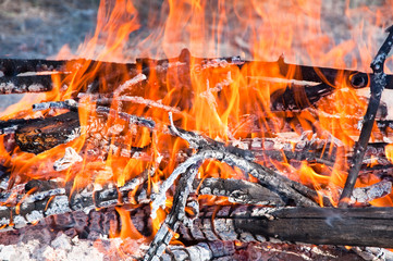 Burning  firewoods.