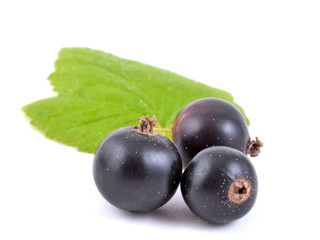 Johannisbeere