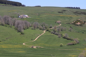 hautes terres du Cézalier - Auvergne