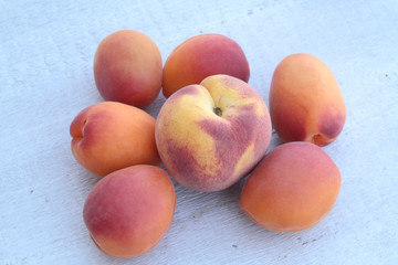 pêches et abricots