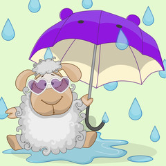 Sheep with umbrella