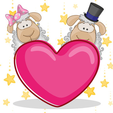 Lovers sheep