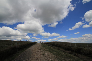 hautes terres du Cézalier - Auvergne