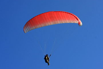 paraglider