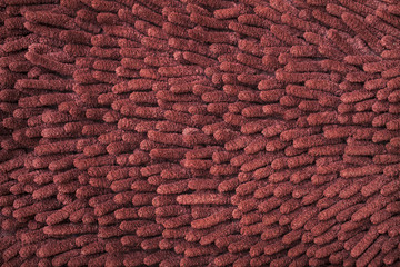 Cloth texture