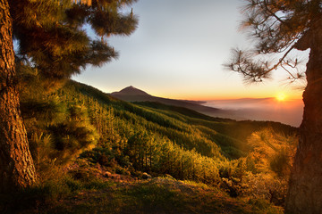 Teide Tenerife with Valle de la Orotava