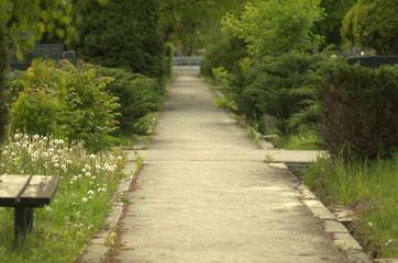 Cementary path
