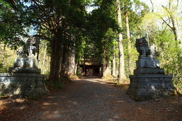 戸隠神社の参道