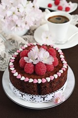 Delicious chocolate cake with raspberry garnish.Selective focus.