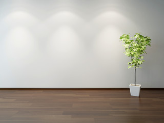 Fototapeta na wymiar Green decorative plant in a white rectangular pot