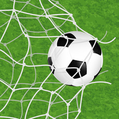 Naklejka na ściany i meble Soccer Ball in Net