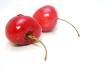 アメリカンチェリー