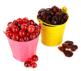 Fresh and dry cranberry in color buckets, isolated on white