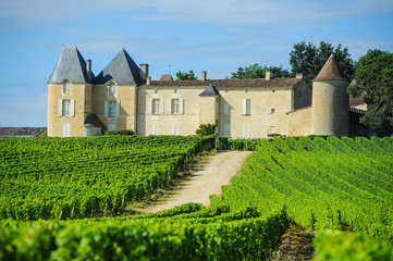 Fototapeta na wymiar Winnica i Chateau d'Yquem, Sauternes Region, Akwitania, Franc