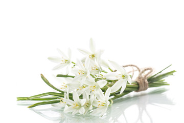 Fototapeta premium beautiful bouquet of white flowers