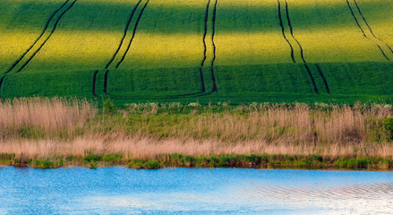 Wiosenny Krajobraz © Wojciech Lisiński