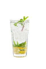Fresh mojito