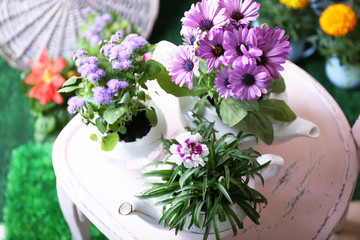 Flowers in  decorative pots on chair, close-up