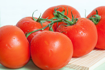 Tomates en grappe sur fond blanc