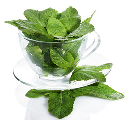 Mint leaves in glass cup isolated on white