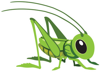 cartoon grasshopper