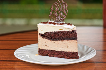 chocolate cake piece