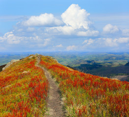 pathway on mountain ridge
