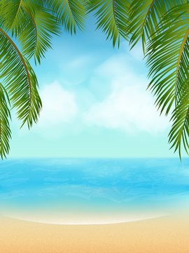 palm tree tropical beach
