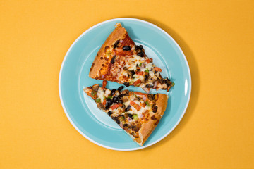 Two slices of savory pizza on a plate