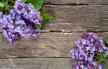 Obraz premium beautiful lilac on dark wooden surface