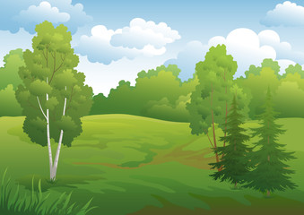 Obraz na płótnie Canvas Landscape, green summer forest